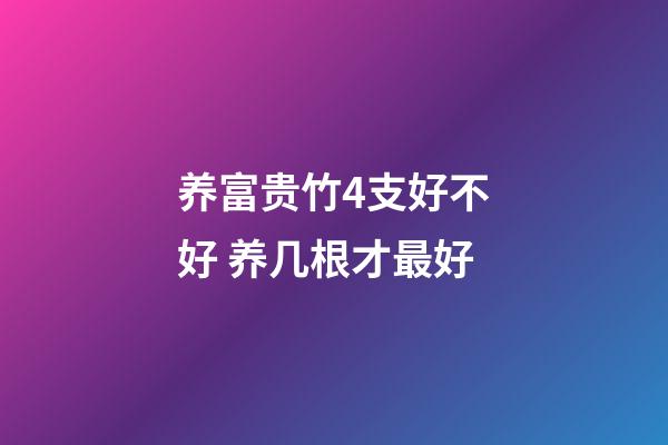 养富贵竹4支好不好 养几根才最好